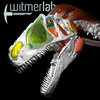 Avatar of WitmerLab at Ohio University