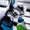 Avatar of AtheoFreak