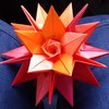 Avatar of LizD