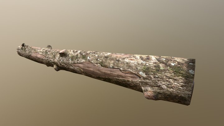 Log 3D Model