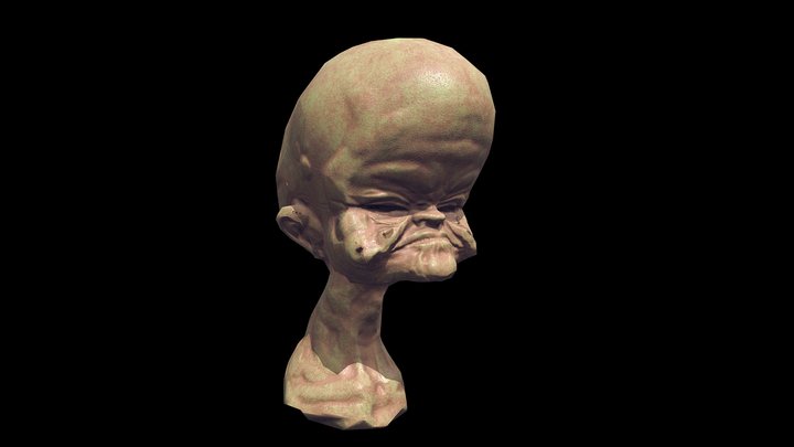 Gross Head 3D Model