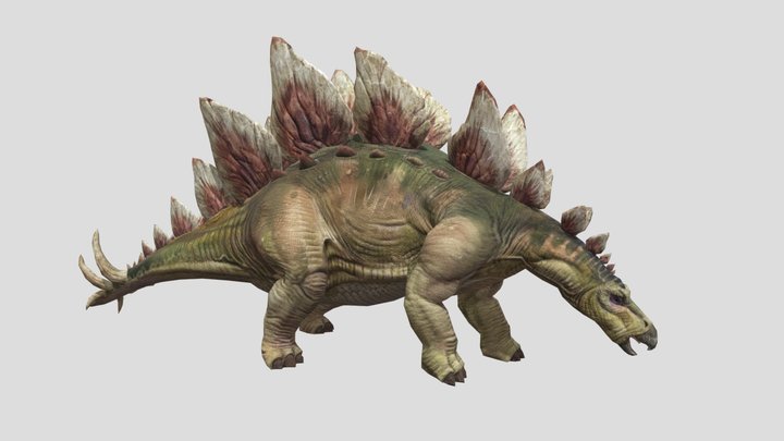 STEGO 3D Model