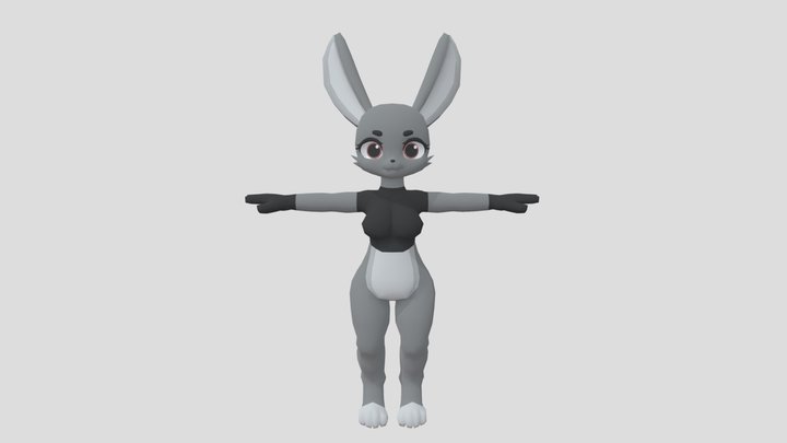 BASE v2.5 3D Model