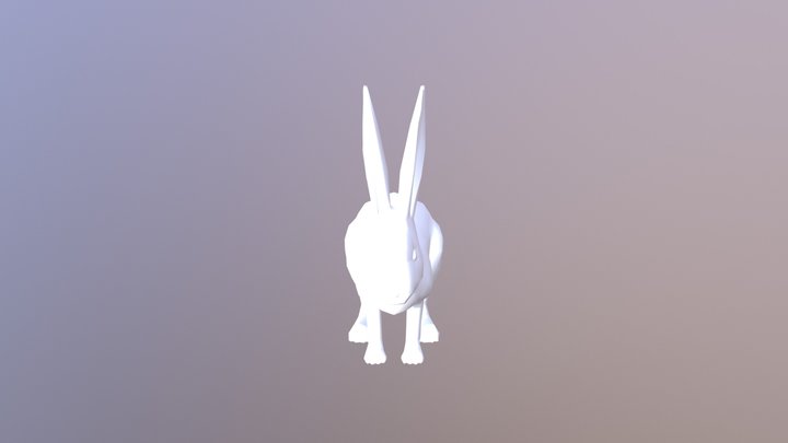 Rabbit 3D Model
